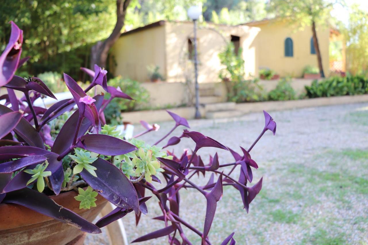 Villa Teresa Porto Azzurro Exteriör bild