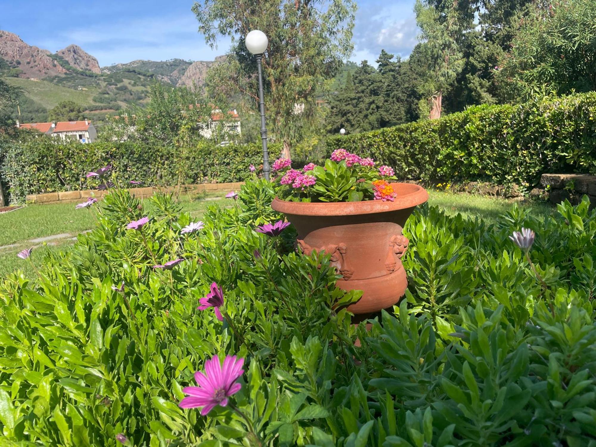 Villa Teresa Porto Azzurro Exteriör bild